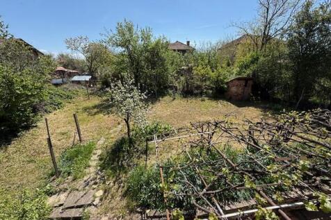 Property Image 33