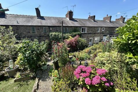 garden.JPG