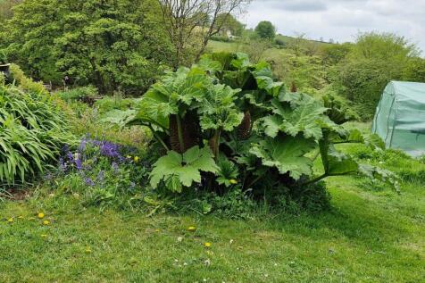 Property Image 72