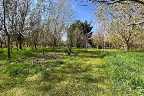 IMG-20250414-WA00...