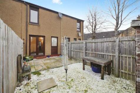 Back garden