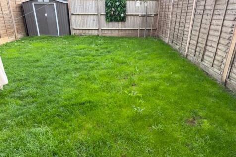 garden.jpg