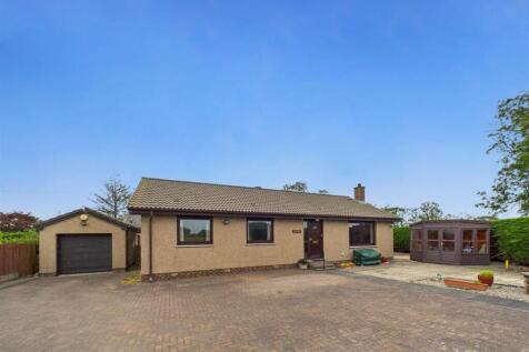 298a4fd3f7ac4eb59d45b234b4abd41f_95_CAM01486G0-PR0