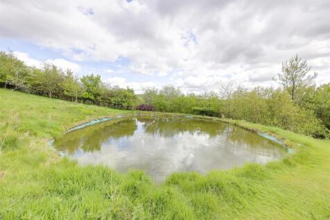 Fish Pond