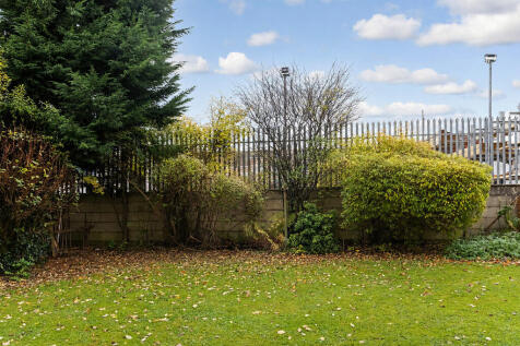 Back garden