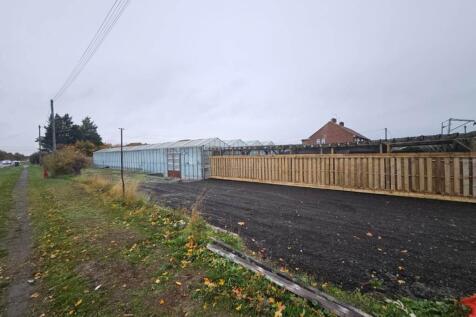 Marden Nurseries (9)