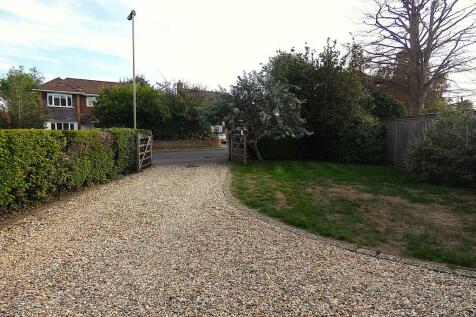 Photo 75