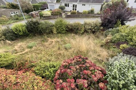 Garden .jpeg