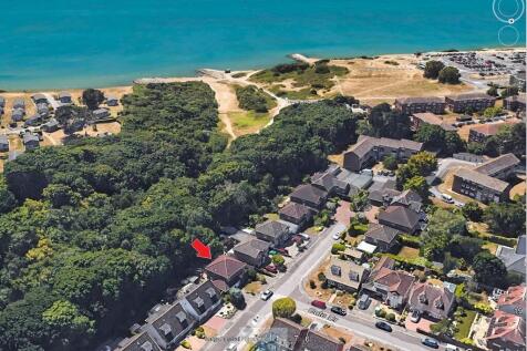 Bird Eye 3
