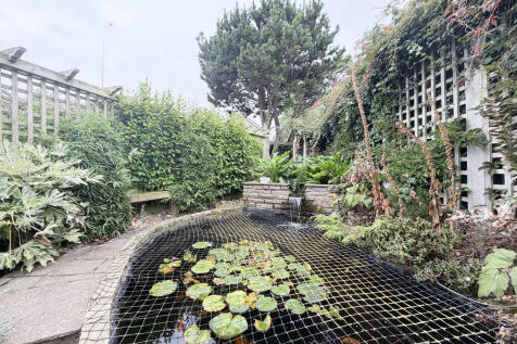 Pond 