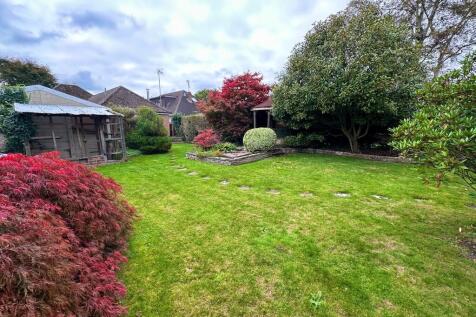 IMG-20251019-WA00...