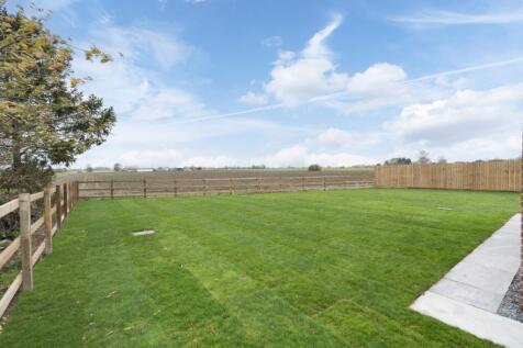 Field Views to the Rear