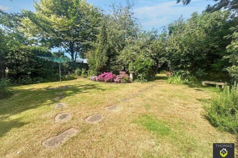 garden 6.jpg