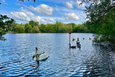 IMG-20250925-WA00...