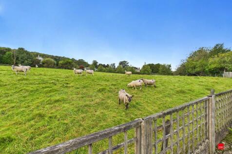 Fields Behind Hol...