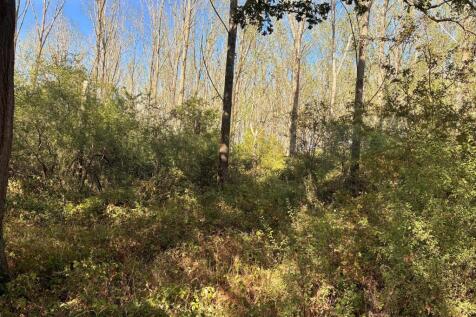 General Woodlands.jpg