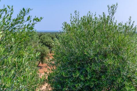 52_MASSERIA ALBERO DOLCE_puglia_raro_realty