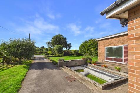 Driveway/Front Garden
