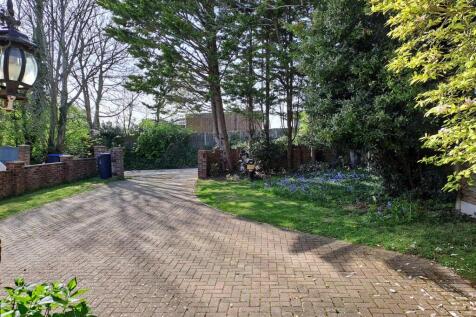 Extensive Driveway