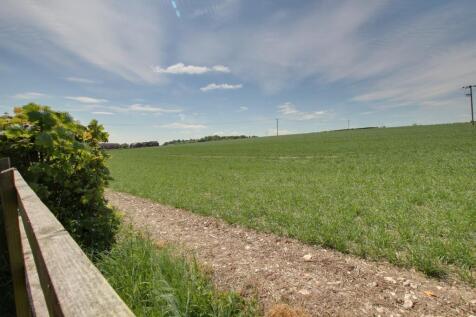 FIELD VIEW