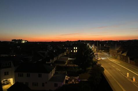 IMG_0450 (1)