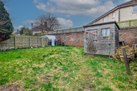 Back garden