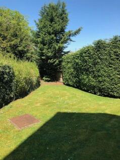Communal garden 