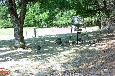 Property Image 69