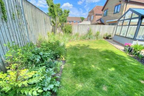 IMG_1205_33_large...