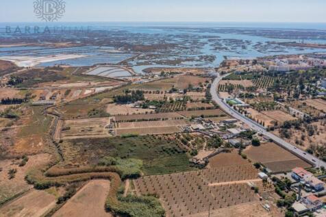 Farm with 3 ha, next to the city of Faro and Ria Formosa