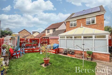 Picture 14