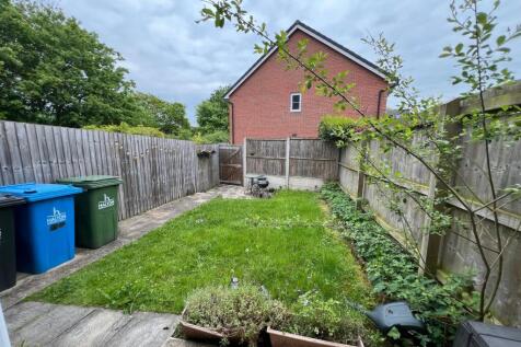 Back garden