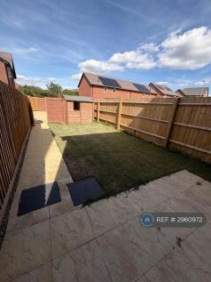 Back Garden