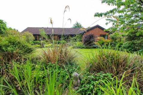 Property Image 62