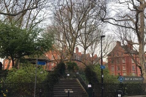 Arnold Circus 