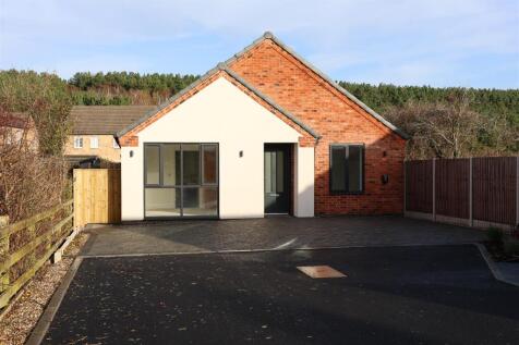 Copper Beech Close-4.jpg