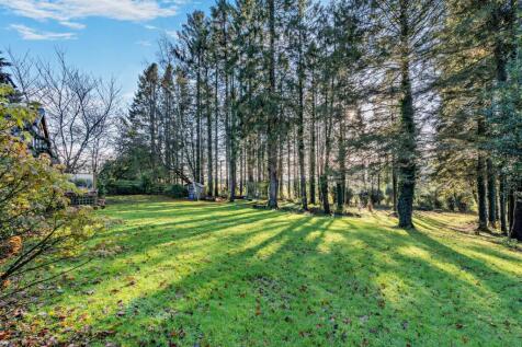 Garden &amp; Woodland