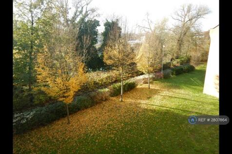 View From The Lounge