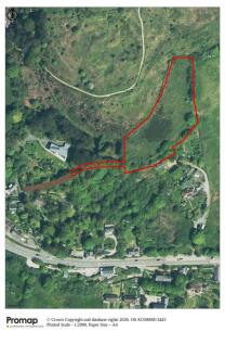 Aerial Plan.jpg