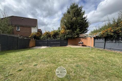 IMG_1315 (Large).jpg