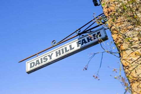 82129_1 Daisy Hil...