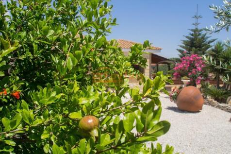 Property Image 57