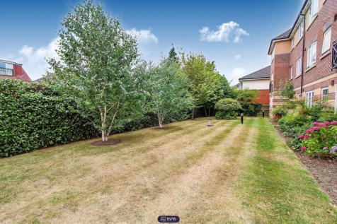 Screenshot 2025-02-25 121940.png