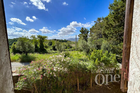 sant'alessandro-4472