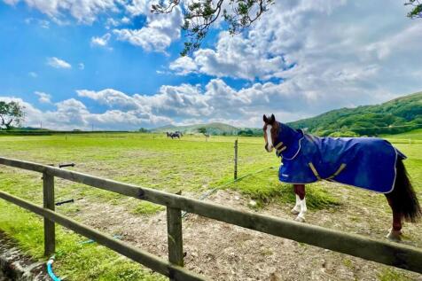 PHOTO-2024-07-16-21-38-37 (2).jpg