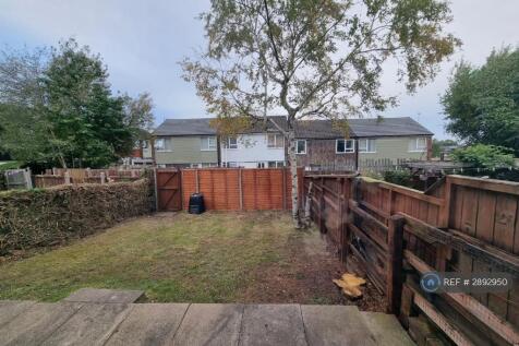 Back Garden