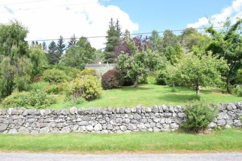 FRONT GARDEN ROADSIDE .JPG