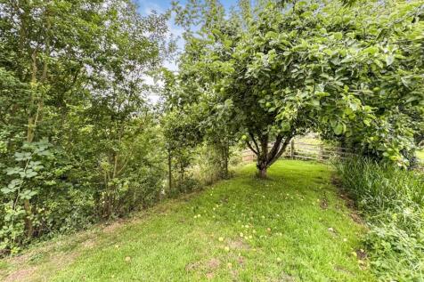 thumbnail_image0 (6).jpg