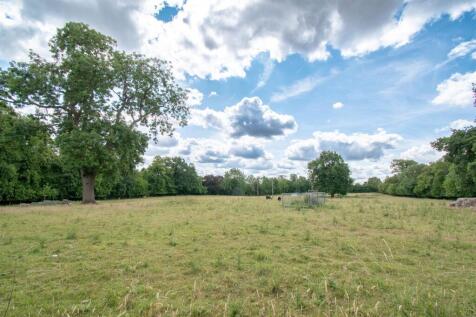 Photo 03-07-2025, 11 41 43.jpg