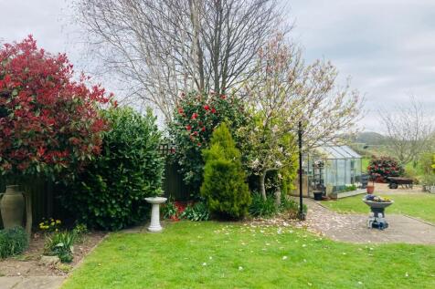 Garden 6